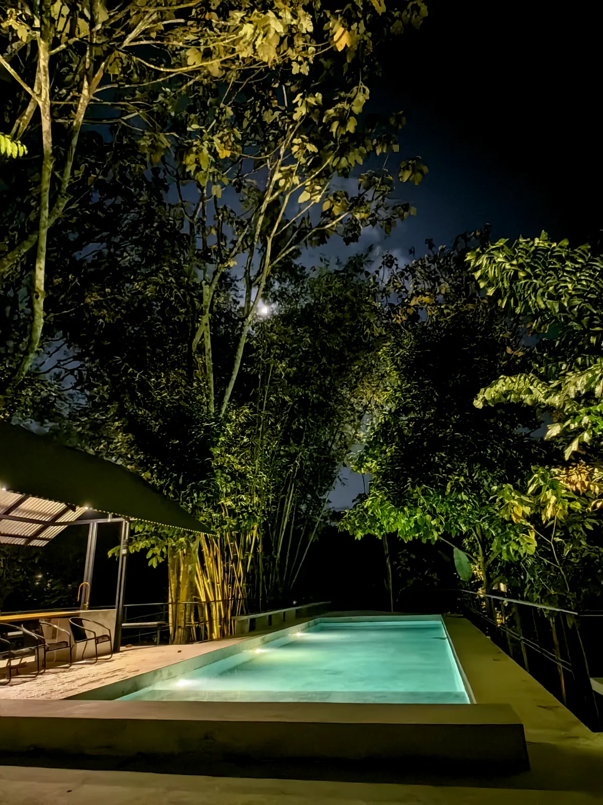 jungle pool