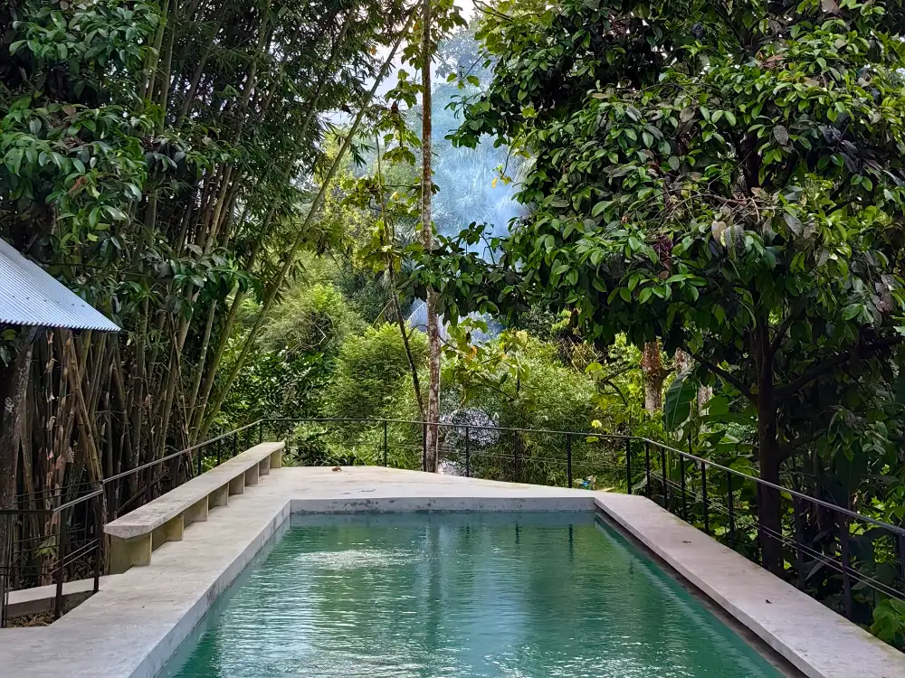 Pool and Deck