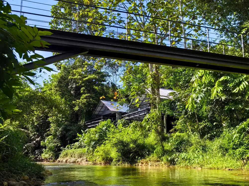 The River